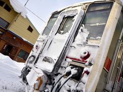 冬の北海道を巡る旅 ～宗谷本線に乗って極寒な北の最果ての地に～