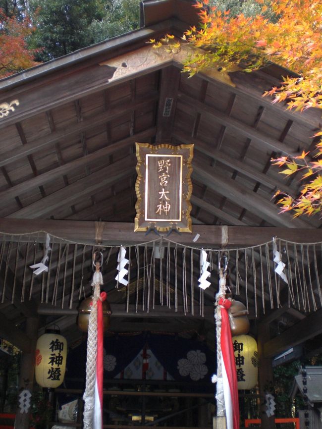 野宮神社をはじめとして嵯峨嵐山を散策しました。<br />野宮神社は、女性にゆかりのある神社のようで、昔、皇女や王女が皇室の代表として伊勢神宮に赴かれる際に、自らの身を清めるために参った神社と聞いています。縁結びや安産そして学問に関する願い事をかなえて貰うために訪れる方々が多いようです。<br />全体しては、それほど広くはない神社でしたが、たくさんの参拝客が訪れていました。<br />原木の樹の皮の付いた黒木の鳥居と狭い面積ではありましたが荘厳な感じのする苔庭が印象的でした。<br />以下、野宮神社から始まる散策について記して参りたいと思います。