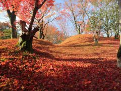 京都の御所と離宮(21) 散紅葉が美しい晩秋の仙洞御所へ