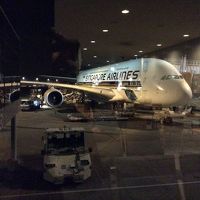 2014年ベガス旅行記-Part1（A380ビジネスクラス）