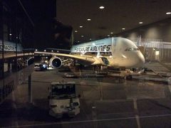 2014年ベガス旅行記-Part1（A380ビジネスクラス）