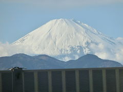 新東名高速の旅 二日目　富士山と談合坂SAとグルメ