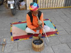 インド　魅惑の黄金三角形ツアー③　アグラ～ジャイプール