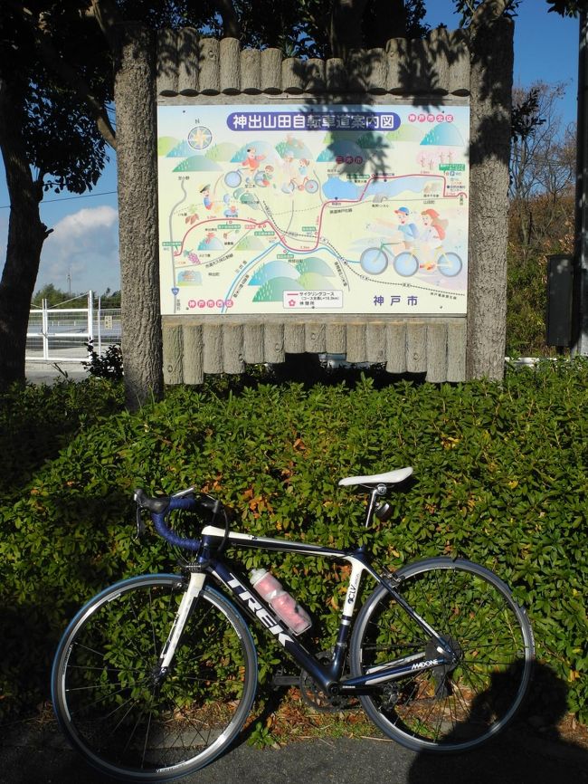山田 自転車