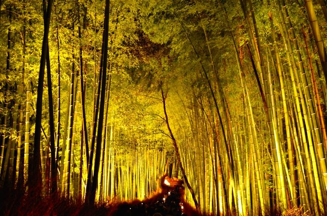 今年の旅納めは京都。<br />何となくhpを見ていて、何となく見付けた「京都・嵐山花灯路(はなとうろ)」。<br /><br />嵐山周辺で行われる冬のイベントで、今年で10回目を迎えます。<br />2014年は、12月12日(金)〜21日(日)の午後5時〜午後8時半。<br /><br />期待以上の美しさに感銘を受けた私。<br /><br /><br />来年の3月6日(金)〜15日(日)の午後6時〜午後9時半には東山周辺で同様のイベント「京都・東山花灯路」が予定されています。<br /><br />3月中旬は超の付く繁忙期。<br />でも、行きたいなあ。<br />行こうかなあ。