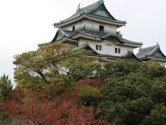 LCCで大阪へ　～前編《和歌山城・天王寺動物園》