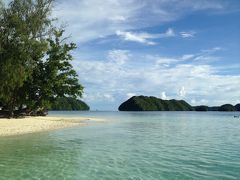 新婚旅行★（2）パラオの海で海亀とサメに遭遇