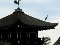 貧乏旅行　京都ロケ地巡り③　