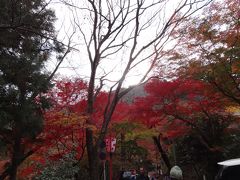 養老公園再び