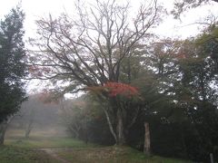 山陽・山陰地域周遊の旅　５日目その２　～　暗雲立ち込める　月山富田城　～