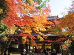 紅葉の湖東三山と永源寺2014～その１　永源寺・百済寺～