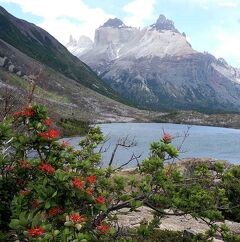 団塊夫婦の世界一周絶景の旅(2014ハイライト）ー南米大陸トレッキング１・パイネ国立公園/フランス谷１日トレッキング