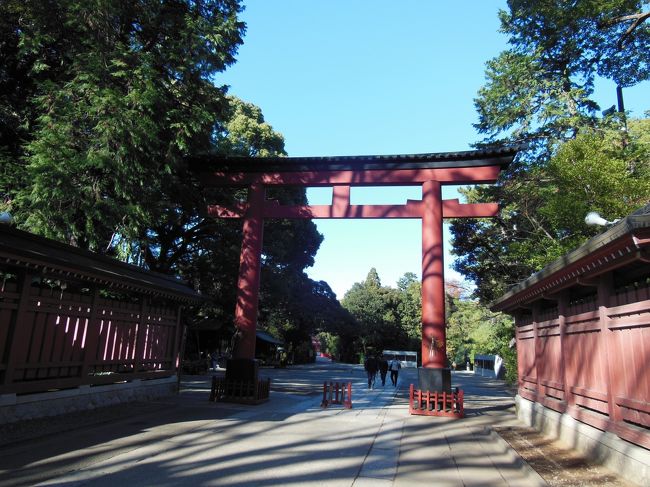 那須の父の家に行く時に毎回通っているのにいつも素通りをしていた大宮駅に降りてみた。ここには武蔵一宮の氷川神社があるからだ。<br />大宮には30年以上前に友人の家があったので訪ねたことがある。その時はひなびた駅だったと思うがすごく大きな駅になっていた。新幹線も止まるからだろう。改札口の中にもたくさんのお店があって驚いた。<br />氷川神社までは　駅から15分ぐらい歩くと到着。まっすぐの長い参道が印象的だった。<br />帰りはとなりの大宮公園に寄ることにした。小さいながらも動物園もある。これが全部無料で市民の憩いの場になっている感じがした。<br />公園でギターの練習をしているおじさんがいた。これから忘年会のカラオケシーズンなので練習しているそうだ。<br />夕方の電車で東京へ行き　表参道のイルミネーションを見た。<br /><br /><br /><br /><br /><br /><br /><br /><br /><br /><br /><br /><br /><br /><br />