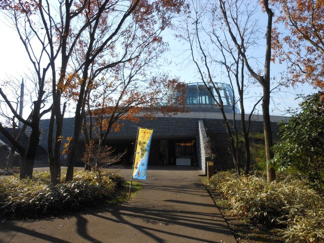 上野原縄文の森展示館には「上野原縄文文化の世界」と年代別に整理された「南の縄文文化の展示」のコーナーがあります。9500年前に発掘された土器、石器等の遺物が展示されており、上野原遺跡では9500年前の竪穴住居跡が52軒、集石遺構39基、土抗260基、連穴土抗16基などが見つかっています。復元集落には竪穴住居跡が10軒を復元してあります。上野原遺跡保存館には9500年前の竪穴住居跡や集石土抗などが発掘されたままの形で保存されています。地層観察館では火山灰層の推積を見ることができ7層が集落跡が発見された層だそうです。