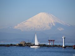 ♪富士は日本一の山♪　葉山の海岸から富士山を楽しむ
