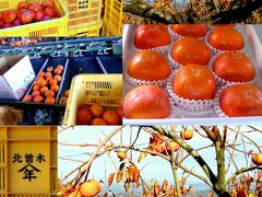 日本の神を覗く旅路・第1部記紀の神々続・晩秋の大和路10日本一の柿の産地西吉野の”岡農園”
