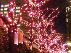 東京のクリスマスを駆け抜けました～（大げさ・・・）(*´▽｀*)！！