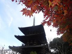 奈良から離れた諸寺の晩秋～長谷寺、室生寺、当麻寺、石光寺～