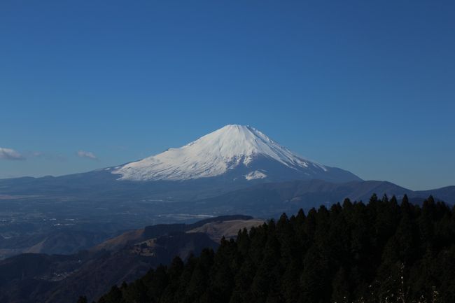 11月から12月は富士山を眺める山歩きのベストシーズン。12月23日の祝日、好天が予想されたので、富士山を眺望を期待して高松山に出かけました。<br />【コース】<br />新松田(バス)田代向<br />田代向→龍王寺→尺里峠→高松山→ビリ堂→高松山入口バス停<br />高松山入口バス停(バス)新松田<br />【感想】<br />田代向から尺里峠までは舗装道ですが、里山の風景を眺めながら歩けます。尺里峠から高松山までの登山道もなだらかで歩きやい道なので、なかなか良いハイキングコースだと思います。<br />この時期は、冷えるのでそれなりの服装は必要ですが、晴れれば日差しが心地よく、富士山もクリアに見えます。