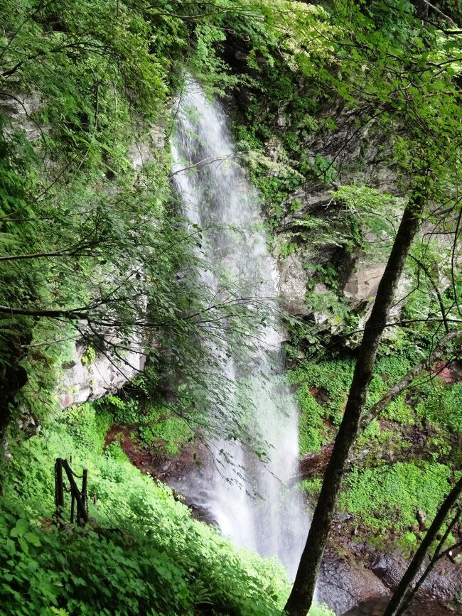 群馬県北部、みなかみ町のみなかみ高原を訪れました。水上温泉郷のひとつである湯の小屋温泉を拠点に、みなかみ高原周辺の観光地をバイクツーリングで巡りました。<br />★谷川岳ロープウェイで天神峠へ。<br />★水上高原近辺のダム湖と滝と渓谷で、水源を感じるツーリング。<br />★豊富な湯量の湯の小屋温泉で「温泉道楽」。