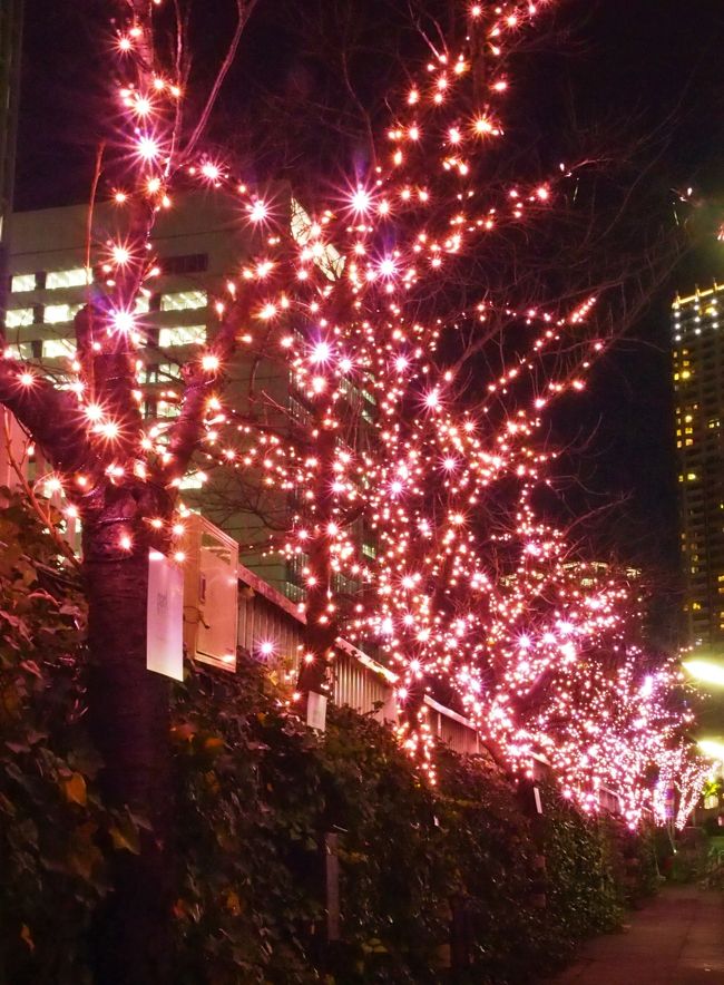 連れ合いの半年ごとの眼科通院と、私の毎年の胃カメラ検診と・・・クリスマス時期なので、実家にも寄ろう・・・ということで、半年ぶりに取手に戻った。<br /><br />せっかくなので、東京の数あるクリスマスイルミのうち、いくつかだけでも見て歩きたいな～ぁと思い、用事の間のわずかな時間を使って、クリスマスイルミを駆け巡ってみた。<br /><br />・・・といっても、用事ついでなので、有名どころの華やかなイルミスポットにまで足を延ばす時間はなく・・・駆け巡ったといっても、ちょっと地味めのスポットだったかもしれないが・・・久々の東京のクリスマスイルミ～～(*^▽^*)！・・・仙台は大好きだけれど、この時期だけは、東京に戻りたい～！と思ってしまった。