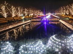クリスマスシーズンは動物園とイルミネーション（４）寒空に色鮮やかですっきり爽やか昭和記念公園のイルミネーション