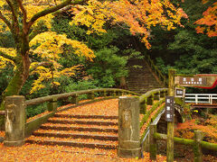 311 晩秋・紅葉の箕面