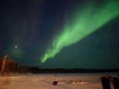 奥様が突然「オーロラが見たぁぁぁい！」と…カナダ・イエローナイフ5日間の旅～(1)満天の星空に白竜を見た！