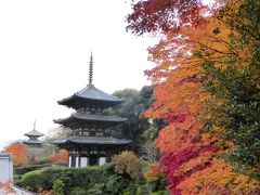 日本の神を覗く旅路・第1部記紀の神々・晩秋の大和路14富麻寺その２西南院庭園の紅葉