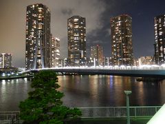 辰巳駅付近から東雲高層マンション群の夜景を見る