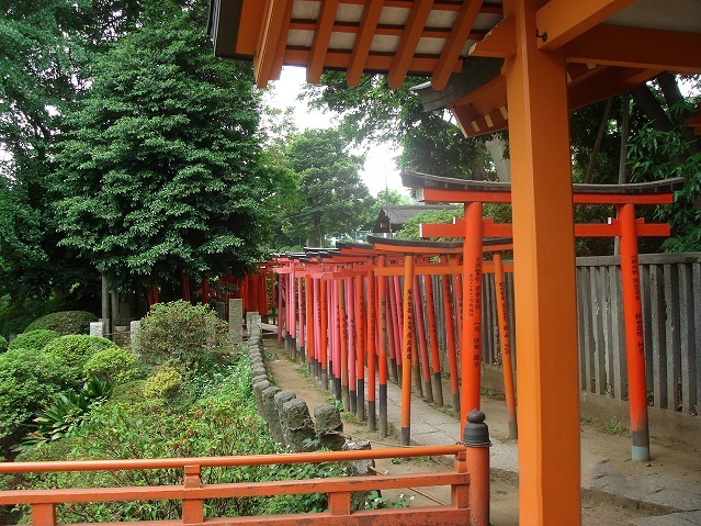 日医大病院は、根津神社の隣にある。<br />生まれてから定期的に検査を受けに行っていた息子は、小4の夏休みに手術をした。入院患者となった彼は、ベッドがあって食事が出て病院はホテルみたいだと言った。<br />おまけに、向かい側には、根津神社の緑が広がっている。<br /><br />―――読み直していて、これは日記であって旅行記じゃないなあ、と思い直し、旅行記を削除しようかと思いましたが、温かいコメントもいただいているため、「番外」とつけて残します。旅行情報はほんの少ししかありませんが、お許しください。―――<br />