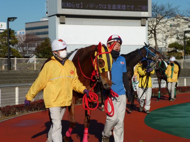 年末の大井競馬場にうちの仔ライブリーソングが出走したので、応援に行って来ました。