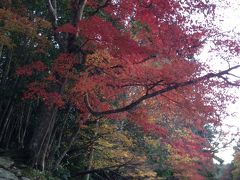 ２０１４紅葉狩り♪　おかげ年の伊勢＆鳥羽（後編）～伊勢神宮内宮と食べ歩き～