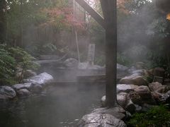 恒例の晩秋の温泉旅行、今年は「箱根」