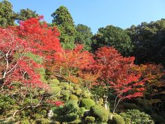 紅葉の湖東三山2014～その２金剛輪寺・西明寺～