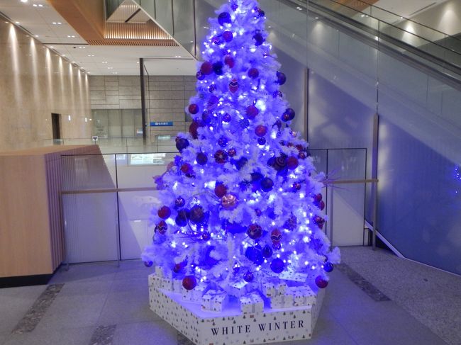 冬の札幌・旭川週末旅行☆ミュンヘンクリスマスマーケット・ホワイトイルミネーション♪