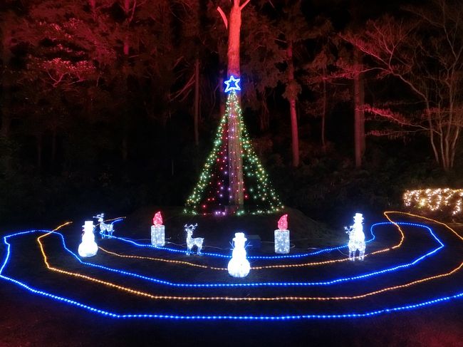 「クリスマスはエクシブ鳥羽で」これが最近の我々夫婦のクリスマスの過ごし方になってきた。子供たちは既に独立し家から離れてしまったので、今や熟年夫婦だけの静かなクリスマスである。<br /><br />私のホームページに旅行記多数あり。<br />『第二の人生を豊かに』<br />http://www.e-funahashi.jp/<br />(新刊『夢の豪華客船クルーズの旅<br />ー大衆レジャーとなった世界の船旅ー』案内あり)