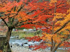 香嵐渓の紅葉を素晴らしかった