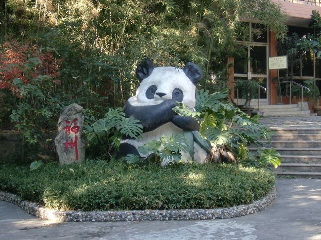 福州大熊猫園、つまりパンダ園。前回、福州を訪れたときは動物園(パンダも居たけど入らなかった)でしたが、パンダ園に変わってました。中国でも有名だと言うのですが、よくわかりません。<br />子連れなもので、本場中国だからパンダを見せようと訪問。