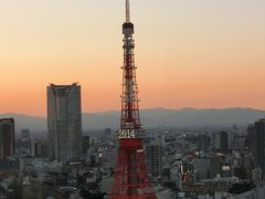 東京タワーと夜景