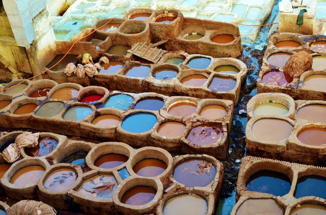 趣味が町歩きで特に異国の地、欲を出せば文化圏が全く異なる土地での散歩、迷子になるのが大好きな私にとって「迷宮都市」の異名を持つフェズは魅惑と言う言葉が都市になったものと同然。<br />会社の休みの都合で弾丸旅程ですが、今回の旅で唯一2連泊したのはこのフェズのみ!期待値をあげすぎかな?と感じながらも興奮冷めやらぬ状態で起床早々街に繰り出します。<br />こんなに気合い入れて迷子になろうとする人、なかなかいないんじゃないかな?(笑)