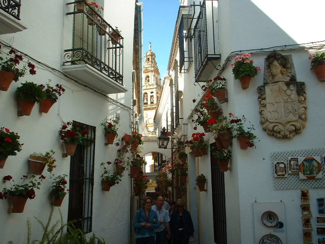 スペイン・アンダルシアの旅 #7 - コルドバ、メスキータと花の小路