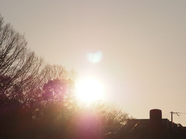 新年、あけましておめでとうございます。<br /><br />空は青空、おだやかな新年をお迎えのことと、お喜び申し上げます。<br /><br />本年もよろしくお願いいたします。<br /><br />新年、初めての投稿は、やはり初日の出と初詣とに、あいなります。<br /><br />【写真は、２０１５年の初日の出です。】