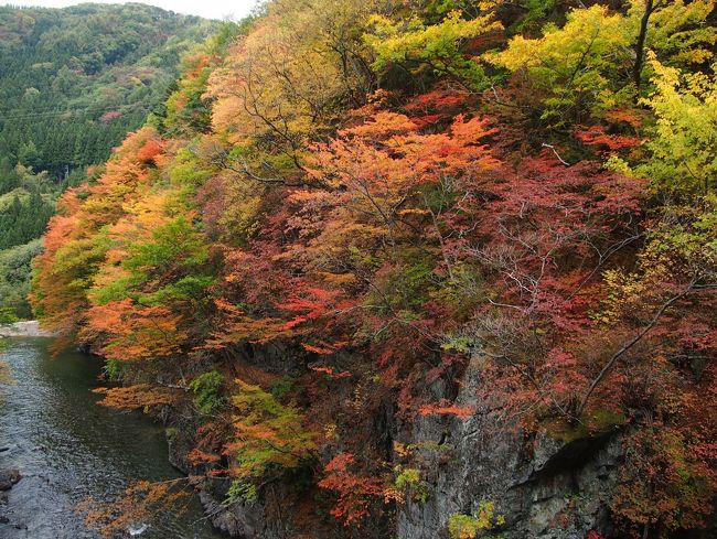 １０月１７日（金）<br /><br />尾瀬にある至仏山に登山しに、旦那と旦那の先輩と行きました。<br />関東は天気が良いはずだったのですが…<br />この日尾瀬は冷たい雨が降ってきました。<br /><br /><br /><br />