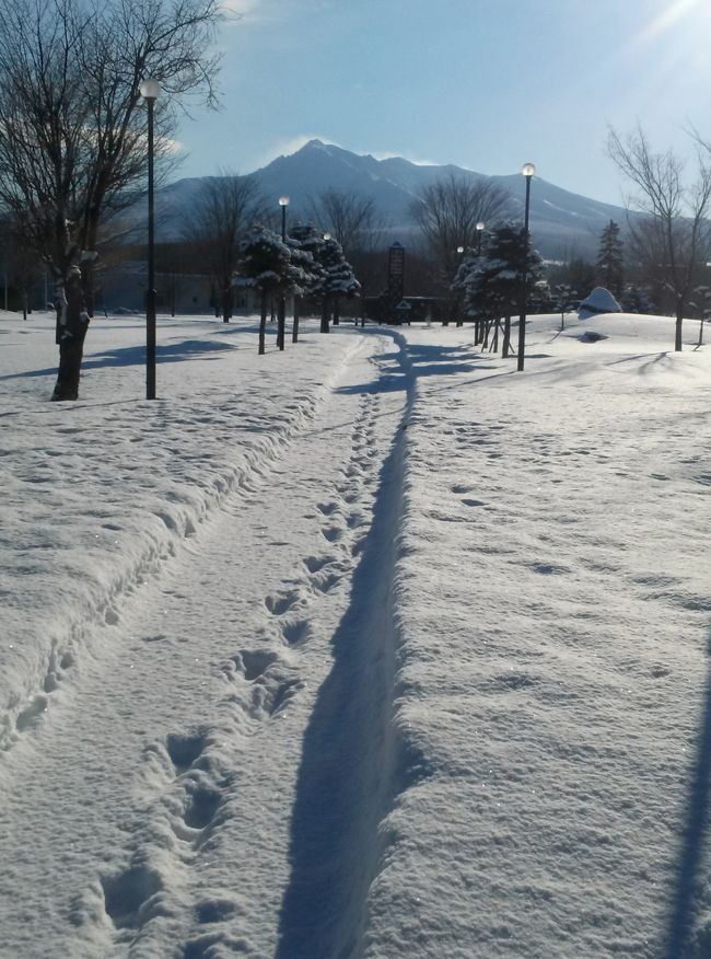 2015年、明けましておめでとうございます。我が母校前からの新春の斜里岳をご覧ください！