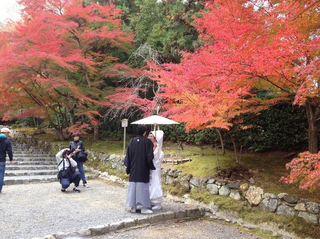 嵯峨野、嵐山<br />2014の旅です。