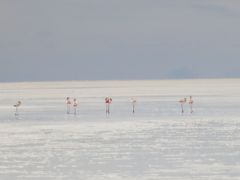 憧れのウユニ塩湖