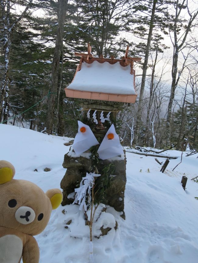 クマ〜<br />　クマは東京で一番高い場所で初日の出に挑戦クマ！<br />気温は-１０度位水が１０分で凍って飲めない世界クマ！<br />ここは本当に東京？<br /> 　この寒さに耐えて初日の出拝めるクマ？　<br /><br />今日は鴨沢に下山するクマ<br />でも下山中に想定外な事が白がピンチになるのでワクテカしてみるクマ〜