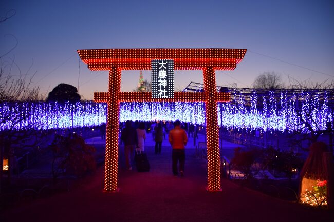 夜景鑑定士が選んだ2014イルミネーションアワードで全国1位を獲得、電球250万球は数では平凡ではありますが、関東三大イルミネーションに認定され、世界初の有機ELイルミネーションも採用し注目されています。<br /><br />専門家が選ぶ1位と一般人が選ぶ1位ではその着眼点の違いから異なる事が多いですが、選ばれたからには何かがあると感じ、行ってみる事にしました。<br />開催期間は2014年10月25日~2015年2月5日とロングランです。<br /><br />あしかがフラワーパークHP<br />http://www.ashikaga.co.jp/flowerfantasy_special2014.html
