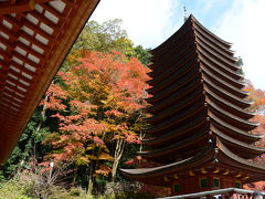 談山神社（桜井市）の紅葉